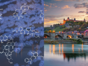 5th European Conference on Natural Products, 22. – 24. October 2024, Congress Centrum Würzburg